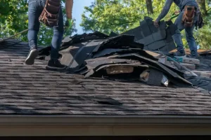 BAM Roofing & Construction—Two roofers removing old material from a house in Central IL in preparation for a full roof replacement.